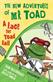 New Adventures of Mr Toad: A Race for Toad Hall, The